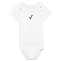 Load image into Gallery viewer, 1b34cedb-2e5e-48db-bf64-a6e62ac631c4