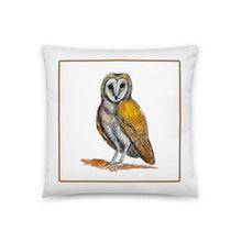 Load image into Gallery viewer, OWL - Owl Pillow