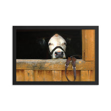 Load image into Gallery viewer, FACE OF CURIOSITY - Framed Poster