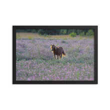 Load image into Gallery viewer, IN PURPLE FIELDS - Framed Poster