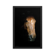 Load image into Gallery viewer, EMERGING - Framed Poster