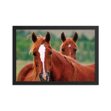 Load image into Gallery viewer, DUET - Framed Poster