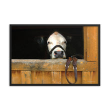 Load image into Gallery viewer, FACE OF CURIOSITY - Framed Poster