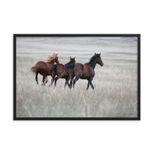 Load image into Gallery viewer, WYOMING HERD - Framed Poster