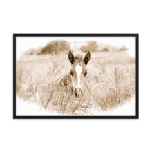 Load image into Gallery viewer, SPRING NEWCOMER - Framed Poster