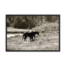 Load image into Gallery viewer, MORNING OF SUN AND RAIN - Framed Poster