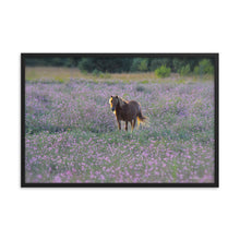 Load image into Gallery viewer, IN PURPLE FIELDS - Framed Poster