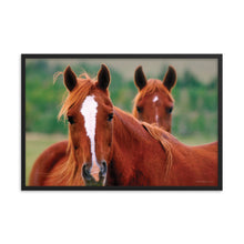 Load image into Gallery viewer, DUET - Framed Poster