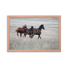 Load image into Gallery viewer, WYOMING HERD - Framed Poster