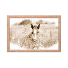 Load image into Gallery viewer, SPRING NEWCOMER - Framed Poster