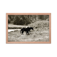 Load image into Gallery viewer, MORNING OF SUN AND RAIN - Framed Poster