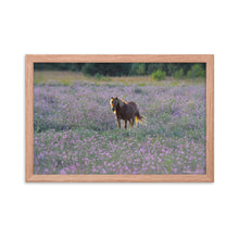 Load image into Gallery viewer, IN PURPLE FIELDS - Framed Poster