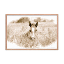 Load image into Gallery viewer, SPRING NEWCOMER - Framed Poster