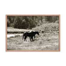 Load image into Gallery viewer, MORNING OF SUN AND RAIN - Framed Poster