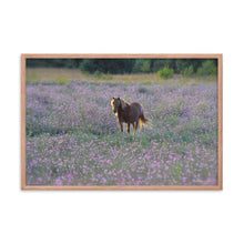 Load image into Gallery viewer, IN PURPLE FIELDS - Framed Poster