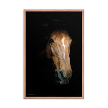 Load image into Gallery viewer, EMERGING - Framed Poster