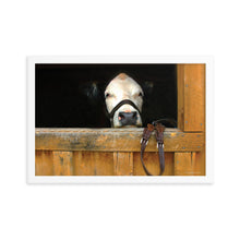 Load image into Gallery viewer, FACE OF CURIOSITY - Framed Poster