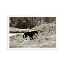 Load image into Gallery viewer, MORNING OF SUN AND RAIN - Framed Poster