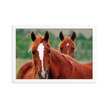 Load image into Gallery viewer, DUET - Framed Poster