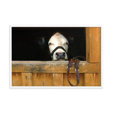 Load image into Gallery viewer, FACE OF CURIOSITY - Framed Poster