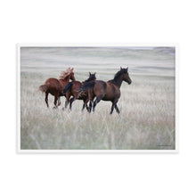 Load image into Gallery viewer, WYOMING HERD - Framed Poster