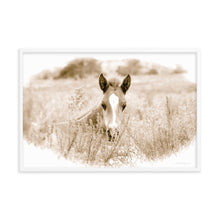 Load image into Gallery viewer, SPRING NEWCOMER - Framed Poster