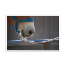 Load image into Gallery viewer, PATIENCE - Framed Poster