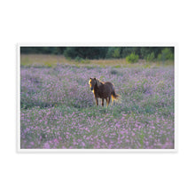 Load image into Gallery viewer, IN PURPLE FIELDS - Framed Poster