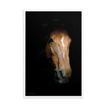 Load image into Gallery viewer, EMERGING - Framed Poster