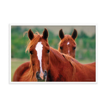 Load image into Gallery viewer, DUET - Framed Poster