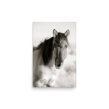 Load image into Gallery viewer, CHIEF - Unframed Poster