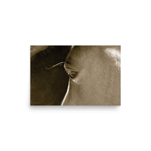 Load image into Gallery viewer, VELVET CHEEKS - Unframed Poster