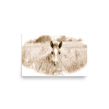 Load image into Gallery viewer, SPRING NEWCOMER - Unframed Poster