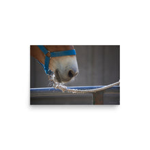 Load image into Gallery viewer, PATIENCE - Unframed Poster