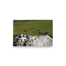 Load image into Gallery viewer, MANY PONIES RANCH - Unframed Poster
