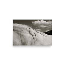 Load image into Gallery viewer, MANE ATTRACTION - Unframed Poster