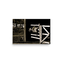 Load image into Gallery viewer, LATE IN THE DAY - Unframed Poster