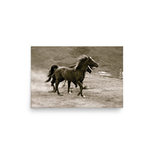 Load image into Gallery viewer, JUST FOR PLAY - Unframed Poster