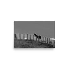 Load image into Gallery viewer, GUARDIAN - Unframed Poster