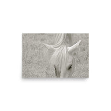 Load image into Gallery viewer, FAIR ONE - Unframed Poster