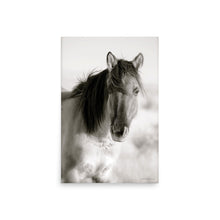 Load image into Gallery viewer, CHIEF - Unframed Poster