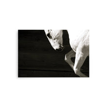 Load image into Gallery viewer, WARRIOR - Unframed Poster