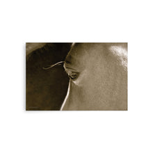 Load image into Gallery viewer, VELVET CHEEKS - Unframed Poster