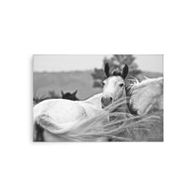 Load image into Gallery viewer, UPDRAFT - Unframed Poster