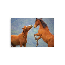 Load image into Gallery viewer, TITANS - Unframed Poster