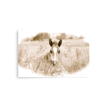 Load image into Gallery viewer, SPRING NEWCOMER - Unframed Poster