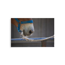 Load image into Gallery viewer, PATIENCE - Unframed Poster