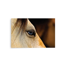 Load image into Gallery viewer, MR BLUE - Unframed Poster