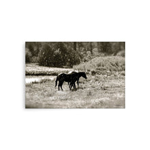 Load image into Gallery viewer, MORNING OF SUN AND RAIN - Unframed Poster