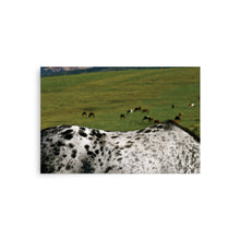 Load image into Gallery viewer, MANY PONIES RANCH - Unframed Poster